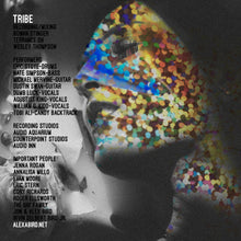 Load image into Gallery viewer, HATE THE INTERNET VINYL